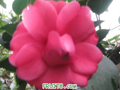 IMG_3164.JPG
