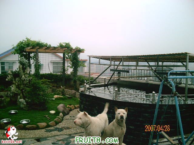 20070428_88a552dad03f2d4fc5c8cipCozROwHTI.jpg