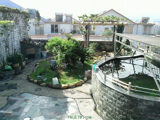 Ƭ-00118.jpg