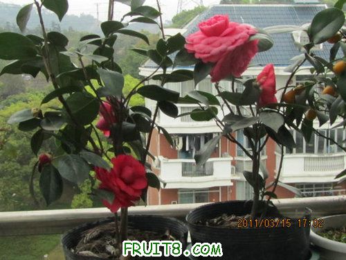 IMG_5698.JPG