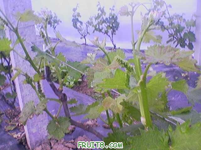 20110322023.jpg