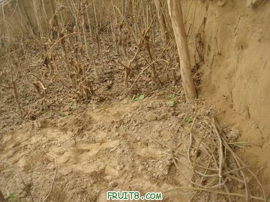 Resize of DSC06083.JPG