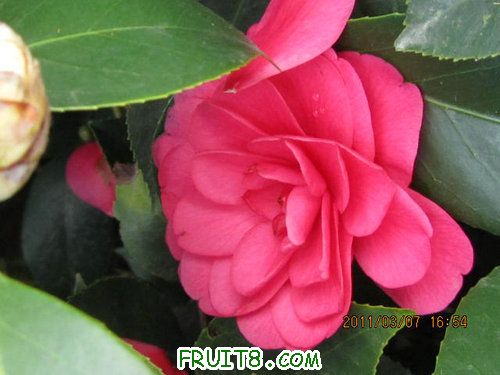 IMG_3384.JPG