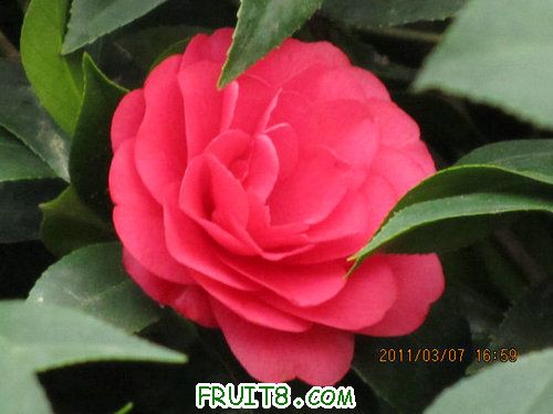 IMG_3408.JPG