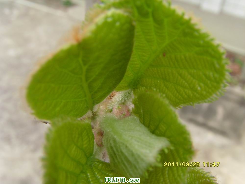 С SI851709.JPG