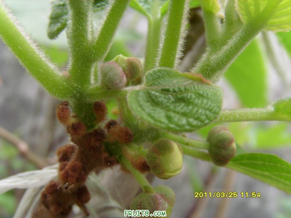 С SI851743.JPG