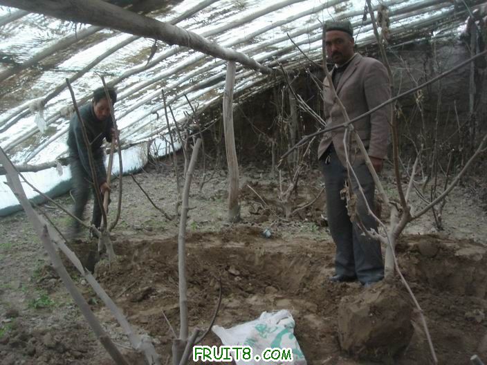 Resize of DSC06094.JPG