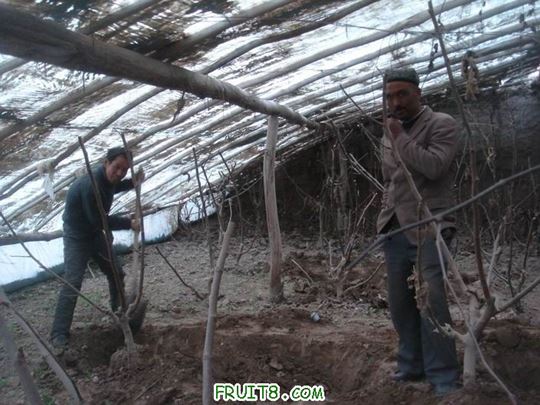 Resize of DSC06093.JPG