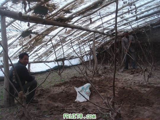 Resize of DSC06092.JPG