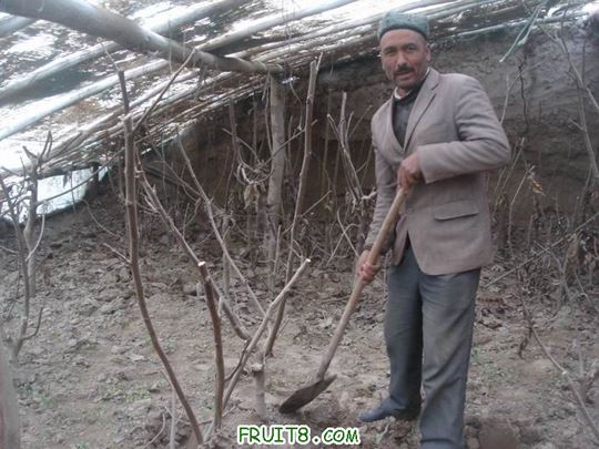 Resize of DSC06090.JPG