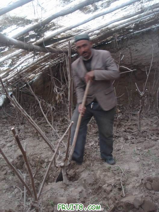 Resize of DSC06091.JPG