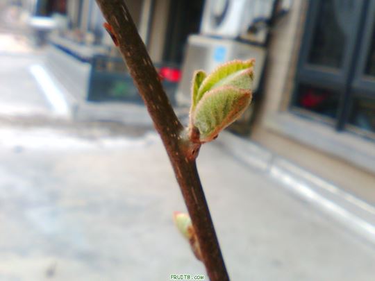IMG0324A.jpg