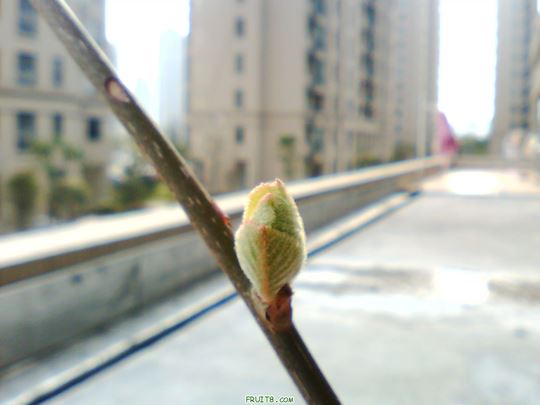 IMG0321A.jpg