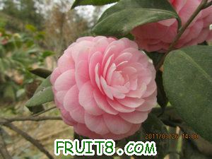 IMG_8272.JPG