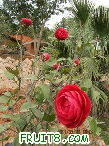 IMG_8289.JPG