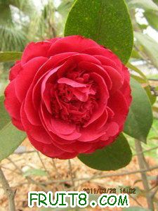 IMG_8292.JPG