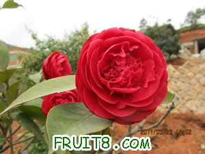 IMG_8285.JPG