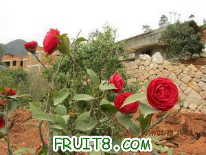 IMG_8284.JPG