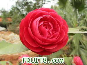 IMG_8283.JPG