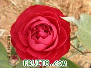 IMG_8279.JPG