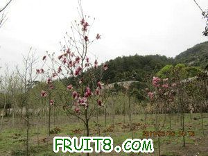 IMG_8305.JPG
