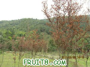 IMG_8303.JPG