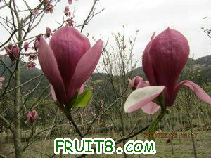 IMG_8309.JPG