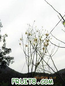 IMG_8314.JPG