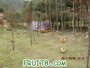 IMG_8299.JPG