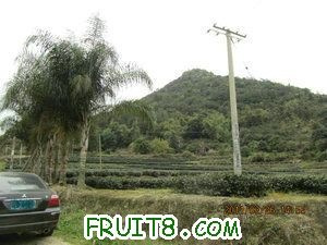 IMG_8330_.JPG