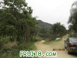 IMG_8328.JPG