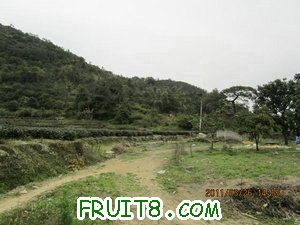 IMG_8331.JPG