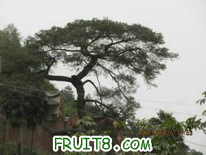 IMG_8327.JPG