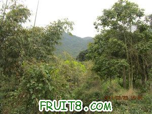 IMG_8329.JPG
