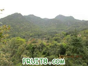 IMG_8340.JPG
