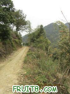 IMG_8337.JPG