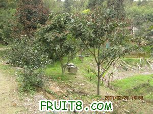IMG_8341.JPG