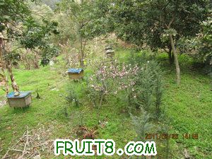 IMG_8343.JPG