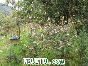 IMG_8344.JPG