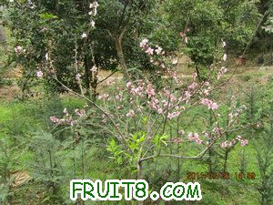 IMG_8345.JPG