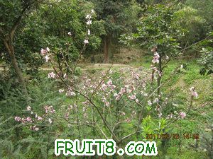IMG_8346.JPG