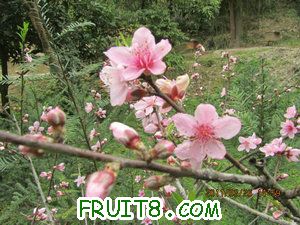 IMG_8348.JPG