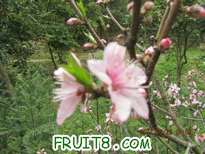IMG_8350.JPG