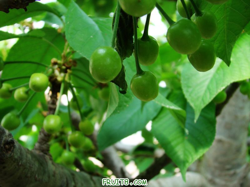 nEO_IMG_DSC01964.jpg