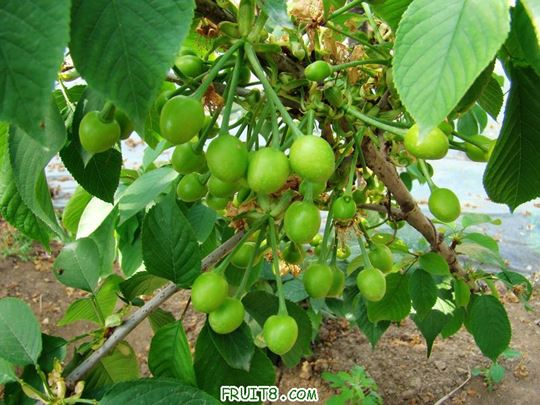 nEO_IMG_DSC01969.jpg