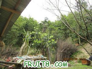 IMG_8357.JPG