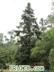 IMG_8353.JPG