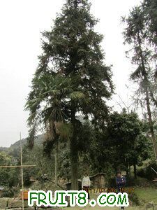 IMG_8354.JPG