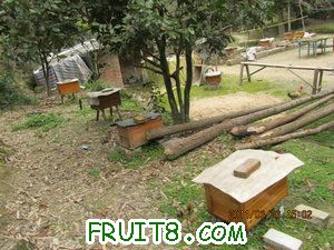 IMG_8364.JPG