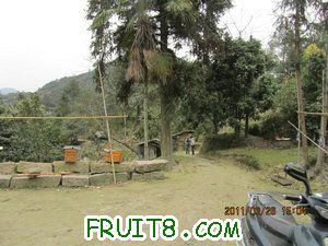 IMG_8375.JPG